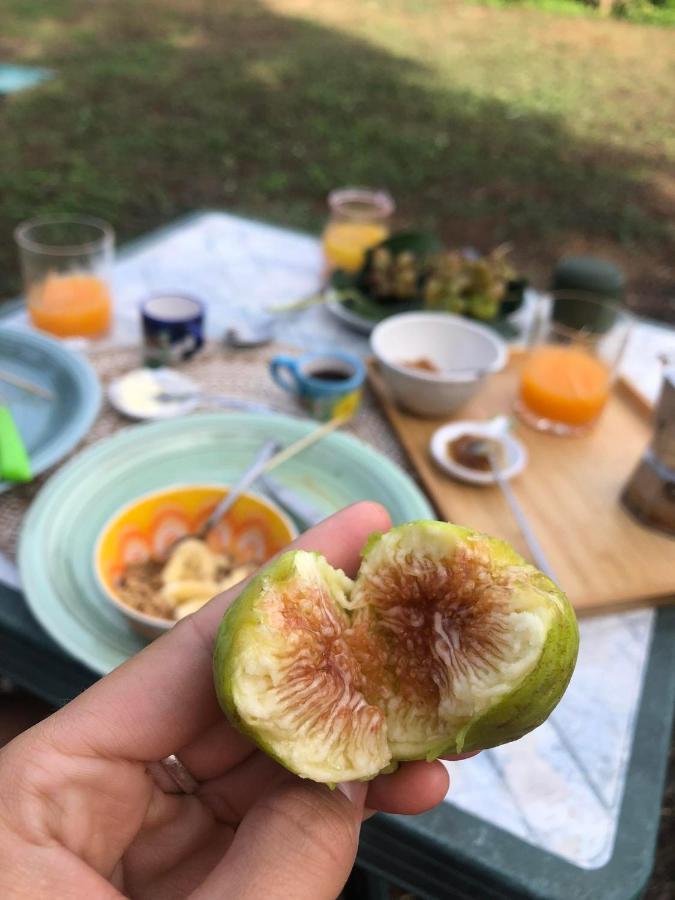 فندق Habitat Eco Farm سورينتو المظهر الخارجي الصورة