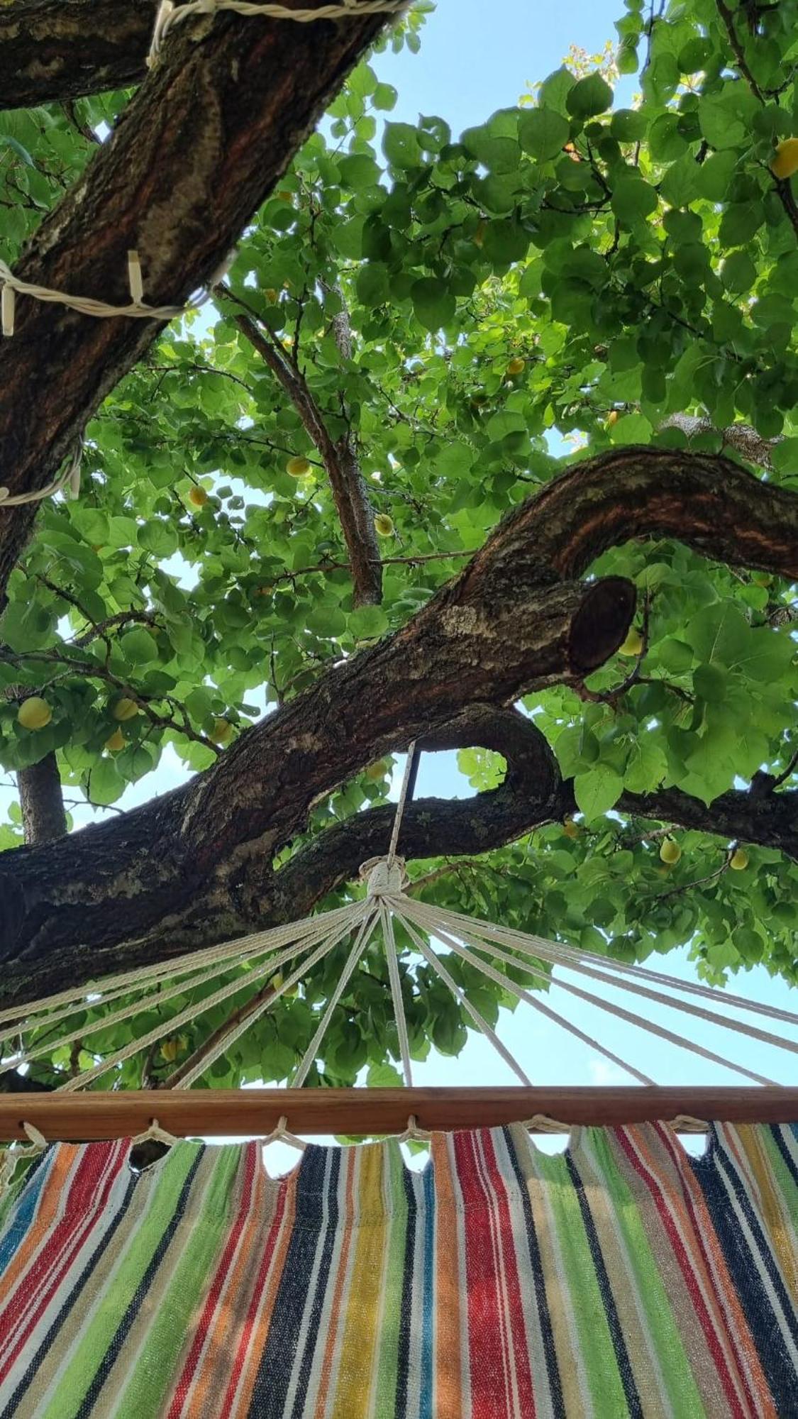 فندق Habitat Eco Farm سورينتو المظهر الخارجي الصورة